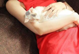 推女神 – 借乔恩夕的比基尼定制，反正大家都是看热闹的！